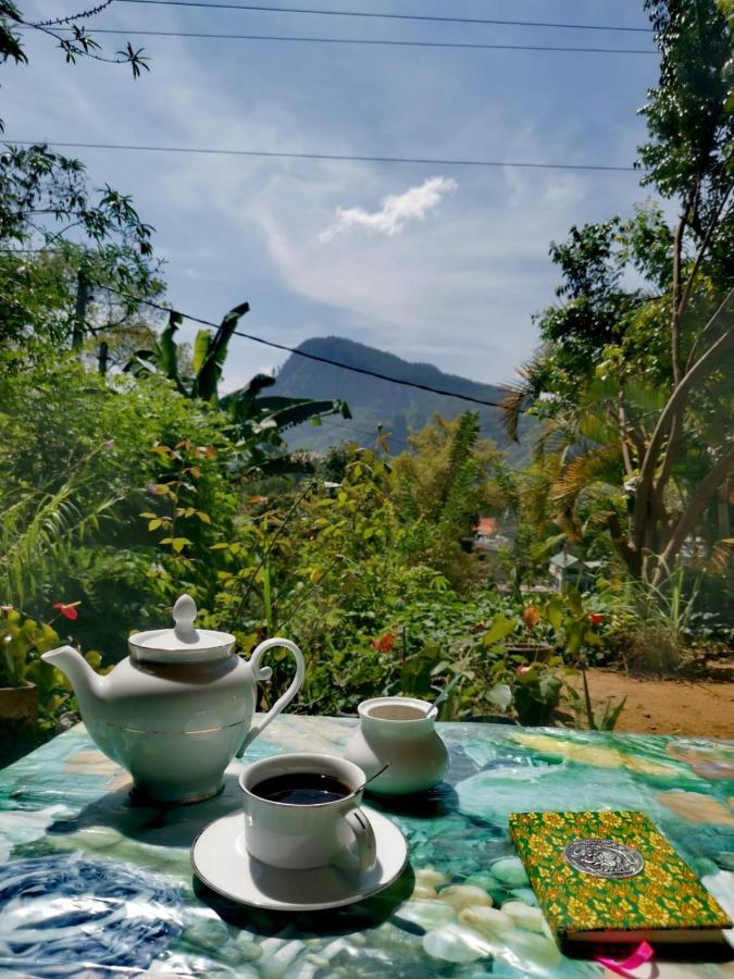 بيت ضيافة Eden View - Tour Options In The Area إيلا
