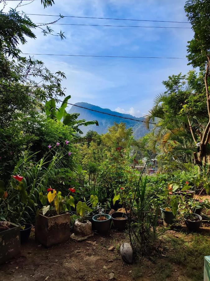 Eden View - Tour Options In The Area * إيلا